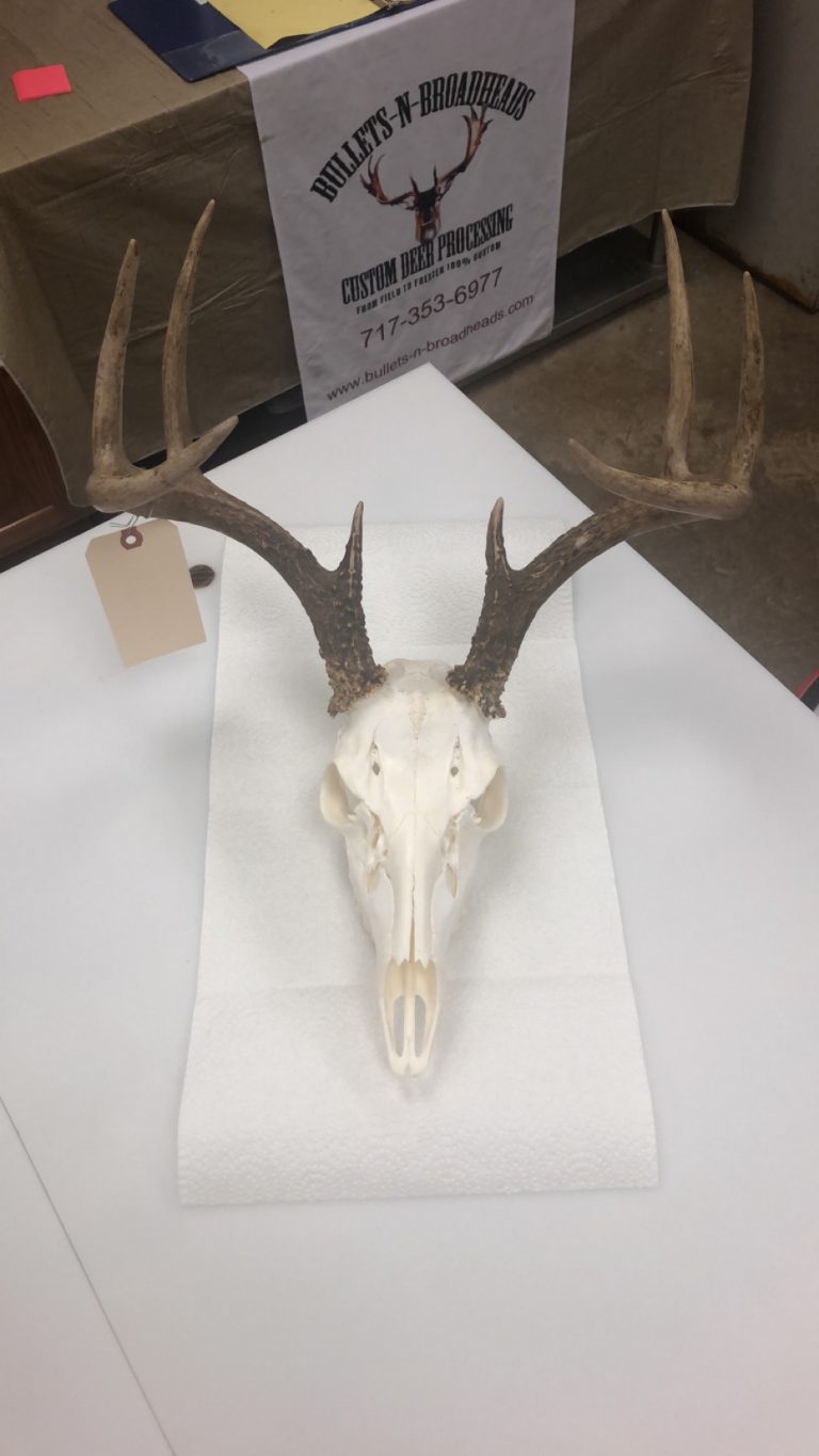 Services Bullets N Broadheads