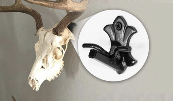 Buck Bracket ( Euro Skull Hanger )